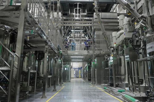 一場(chǎng)動(dòng)力電池安全性的革命 弗迪重慶工廠與刀片電池的誕生